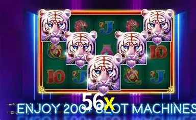 56x bet